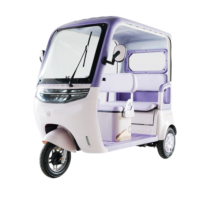2026 China Triciclu electric cu acoperiș