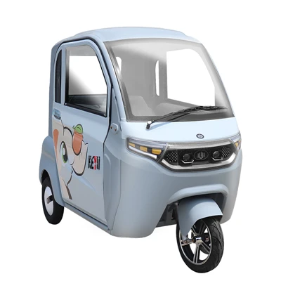 Tricicletă electrică de marfă închisă